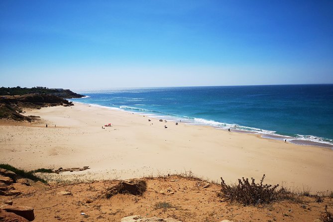 Tangier (Morocco) Day Trip from Seville with Local Guide - Is $263.85 a fair price?