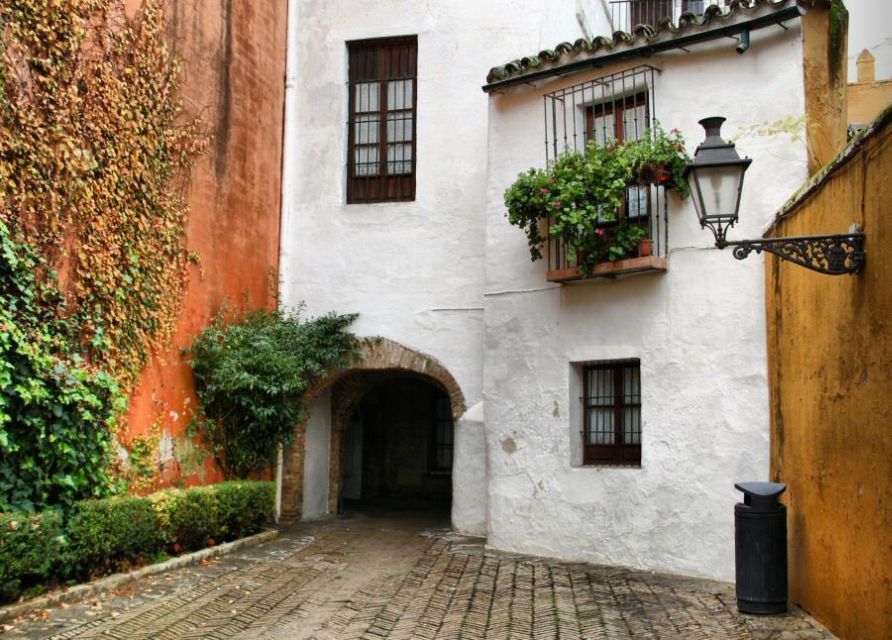 The Best of Seville: Private 2,5 Hour Walking Tour - A smart first look at Seville