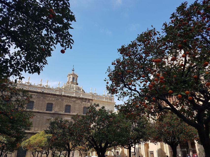 The Best of Seville: Private 2,5 Hour Walking Tour - Santa Cruz, where the city slows down