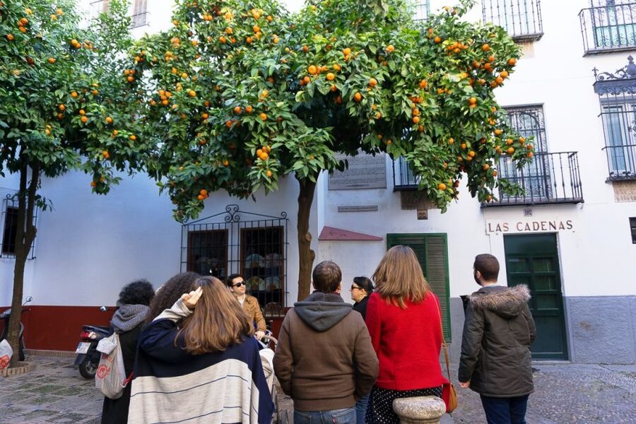The Cultures of Seville Walking Tour - Pace, distance, and what to wear