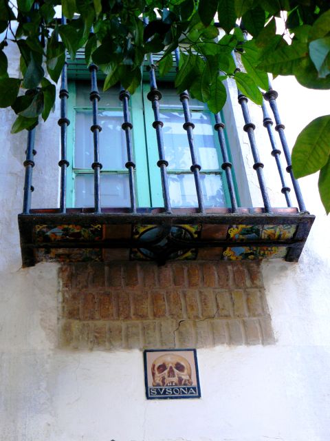 The Cultures of Seville Walking Tour - Who will enjoy this Seville walk?