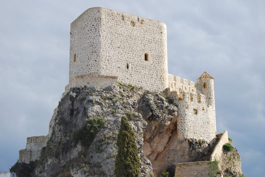 The Villages of Andalusia: Full-Day Trip from Seville - Final call: a strong route with a high price