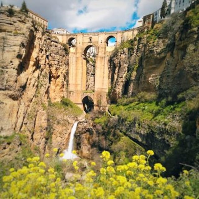 The Villages of Andalusia: Full-Day Trip from Seville - What the guides add to the day