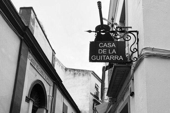 Ticket for Casa de la Guitarra Flamenco Show - Who will enjoy this most