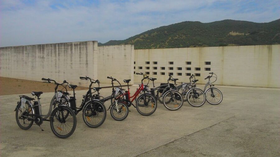 Tour bicicleta a Medina Azahara - The ruins are where Medina Azahara comes alive