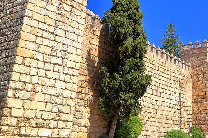 Tour Seville Complete and Jewish Quarter Santa Cruz - Torre Abdel Aziz and the Arenal quarter