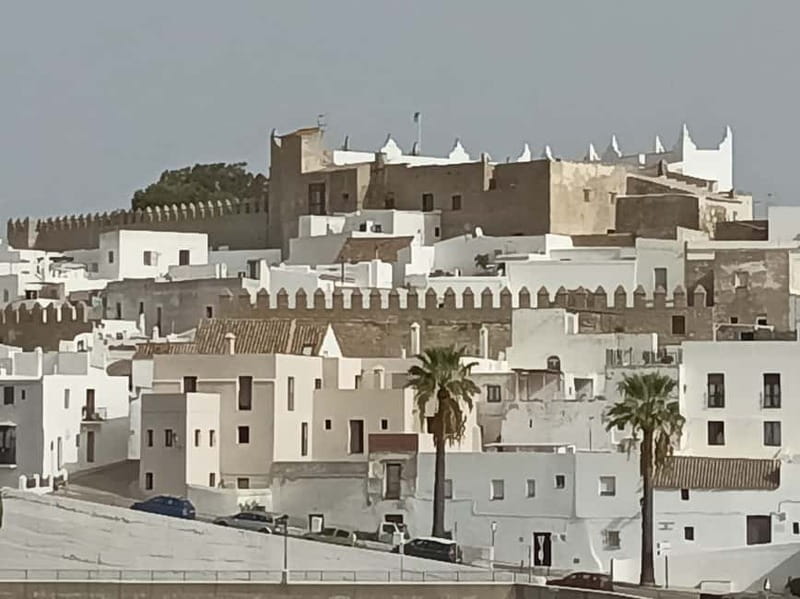 Vejer and Conil: Tour from Jerez, El Puerto, Cádiz, Chiclana - Why this Cádiz province outing is worth your morning