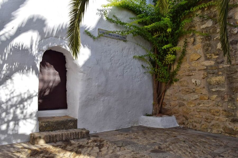 Vejer de la Frontera (Cádiz): Historical Walking Tour - The walls and views toward Africa