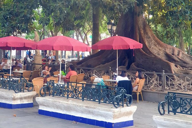 Visit Cádiz as if You Lived There - Alameda Apodaca and the Ficus Macrophylla