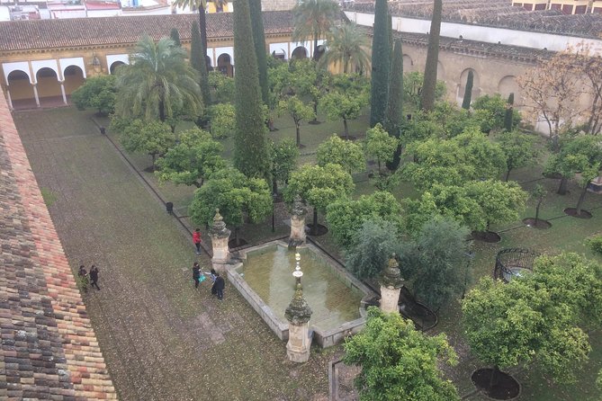 Visit in Spanish to the Cathedral Mosque. Does not include entrance ticket - The value of the 90-minute format