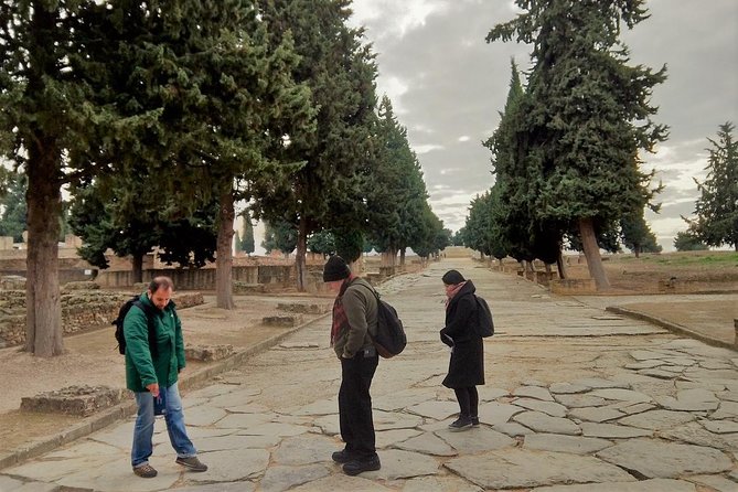 Visit to Italica Roman Ruins Tour tickets included - Meeting your guide in Santiponce