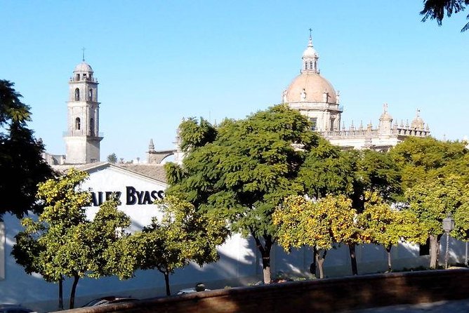 Walking tour in Jerez - A smart first look at Jerez in two hours