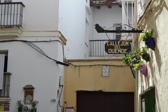Walking Tour through Cádiz: Stories from the hand of a local guide - Plaza San Antonio and the Surrounding Neighborhood