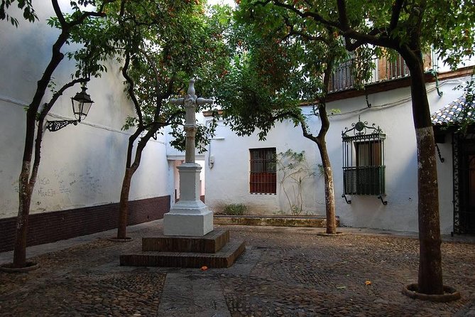 Walking tour through the old Jewish quarter of Santa Cruz. - Group size, meeting details, and timing