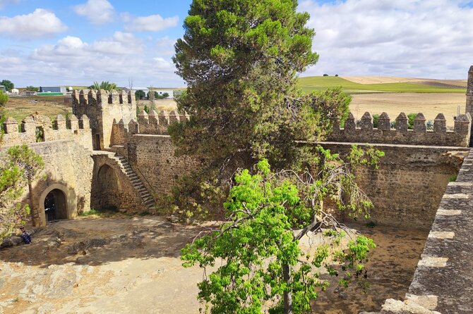White Villages and Ronda Day Tour from Seville - Walking, meals, and what to pack