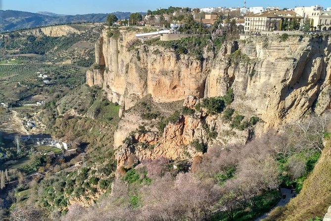 White Villages and Ronda Guided Day Tour from Seville - What the coach ride is really like