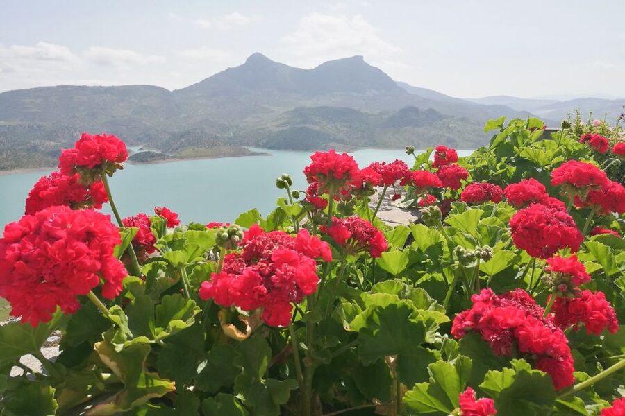 White Villages & Ronda 2-Days Trip & Overnight Stay - Zahara de la Sierra and the first white-village walk