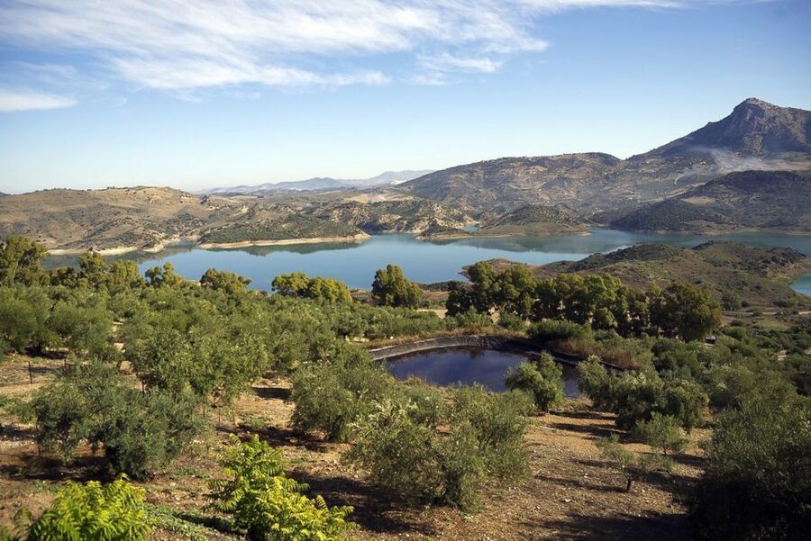 White Villages & Ronda 2-Days Trip & Overnight Stay - The overnight stay and your second day