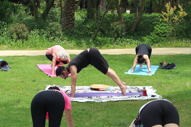 Yoga at María Luisa Park in Seville - Getting there and planning your morning