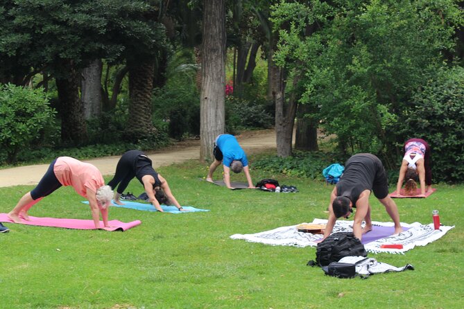 Yoga at María Luisa Park in Seville - Is $16.82 a fair price?