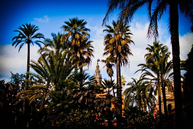 “Your First Day in Seville, the Local Way” - What the $238.28 group price means